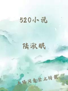 520小说